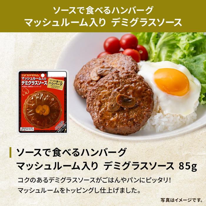 ビーフシチュー バターチキンカレー デミグラス トマトソース ハンバーグ 新生活応援！仕送りエールセット 詰め合わせ おかず プリマハム 送料無料【爆買】 | プリマハム | 05