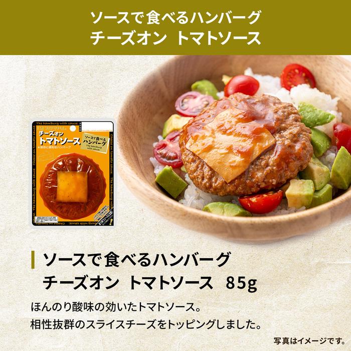 ビーフシチュー バターチキンカレー デミグラス トマトソース ハンバーグ 新生活応援！仕送りエールセット 詰め合わせ おかず プリマハム 送料無料【爆買】 | プリマハム | 06