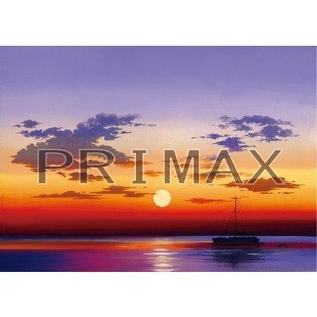 マリーナ/ミッシェル・バテュ(デジタルアート) : プライマックスStore