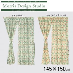 川島織物セルコン　Morris Design Studio　デイジーシアー　スタイルのれん(防炎)　145×150cm　EJ1718　G・グリーン｜prime-shoppers｜03