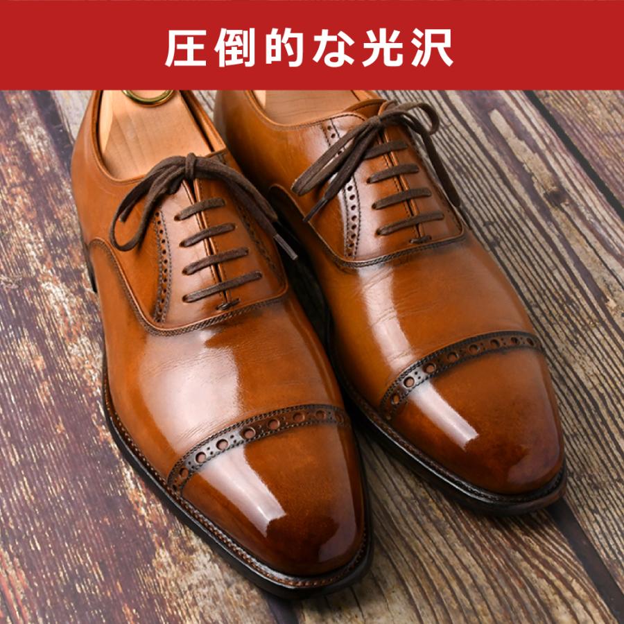 DASCO（ダスコ） 靴磨きセット 究極コスパ シューケア スターター