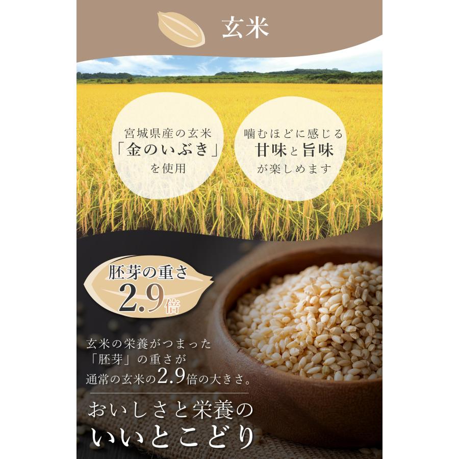 ★白米と玄米のパックご飯6個★鯛みそ缶詰め6個★玄米★白米 ☆白米と玄米のパックご飯6個☆鯛みそ缶詰め6個☆玄米☆白米