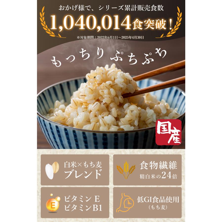 もち麦 ご飯パック パックご飯 もち麦レトルト 120g 12食 国産