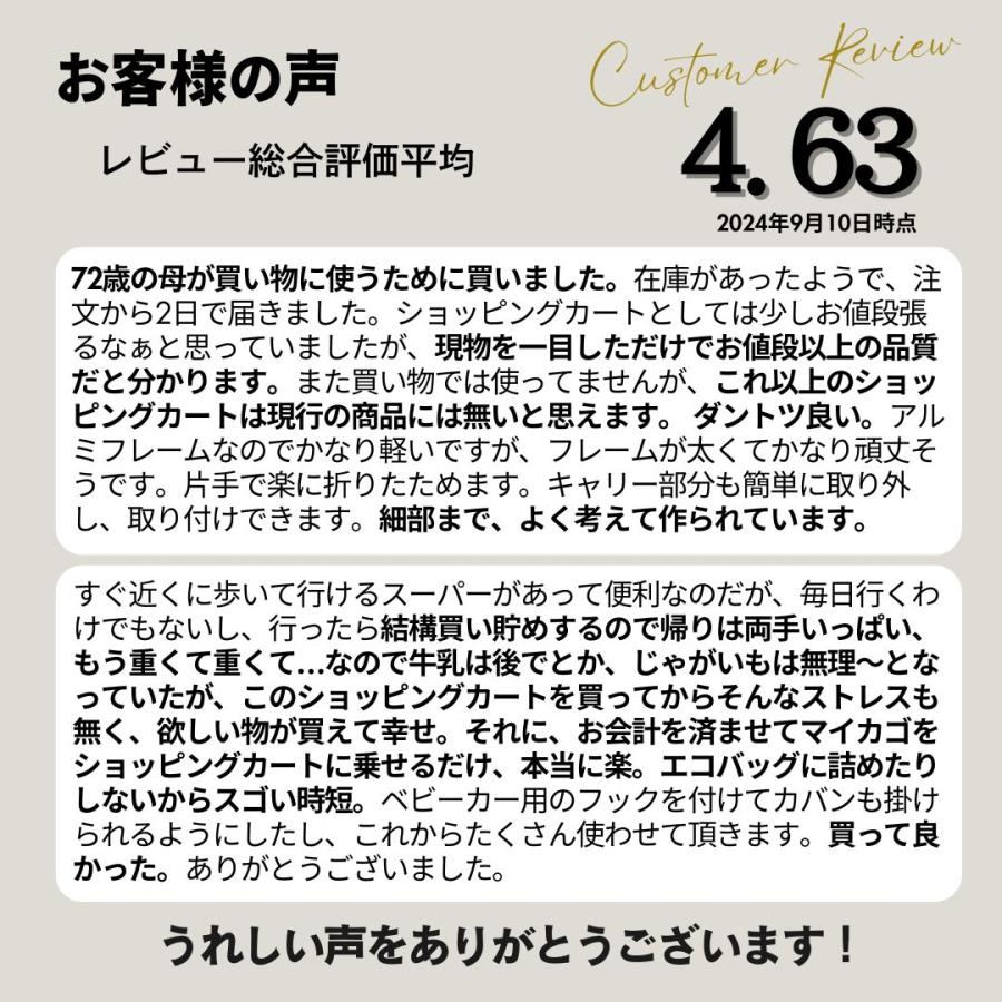キャリーカート 折りたたみ ショッピングカート 4輪 前押し おしゃれ 高齢者 若者 プレゼント カラーバック エコカ 買い物カート 軽量 敬老の日 プレゼント | プライムダイレクト | 01