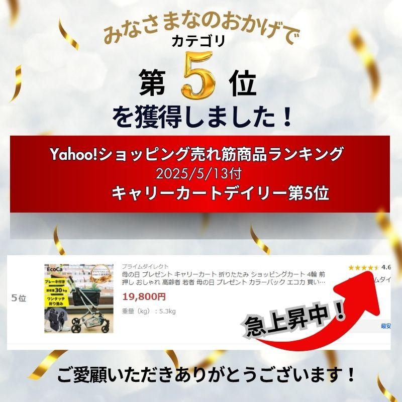 キャリーカート 折りたたみ ショッピングカート 4輪 前押し おしゃれ 高齢者 若者 プレゼント カラーバック エコカ 買い物カート 軽量 敬老の日 プレゼント | プライムダイレクト | 02
