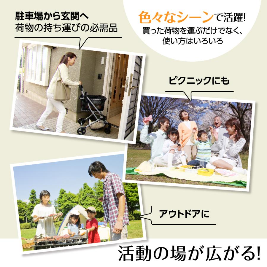 ショッピングカート 4輪 おしゃれ 前押し エコカ 大容量 保冷マイバッグセット (本体＋マイバッグ+保冷バッグ) カート 折りたたみ プレゼント＜ECW86＞ 敬老の日 | プライムダイレクト | 11