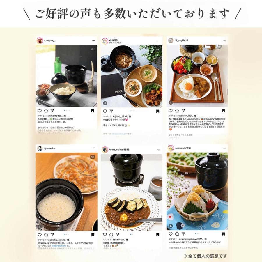 プライムダイレクト（Primedirect） 電子レンジ専用調理器 土鍋 一人用