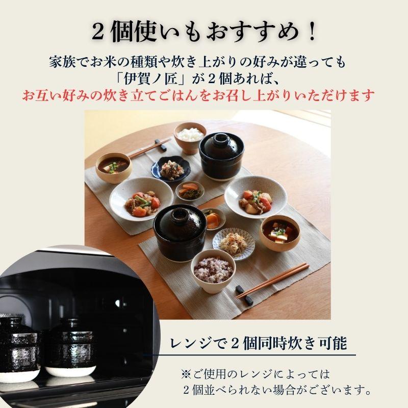 プライムダイレクト（Primedirect） 電子レンジ専用調理器 土鍋 一人用