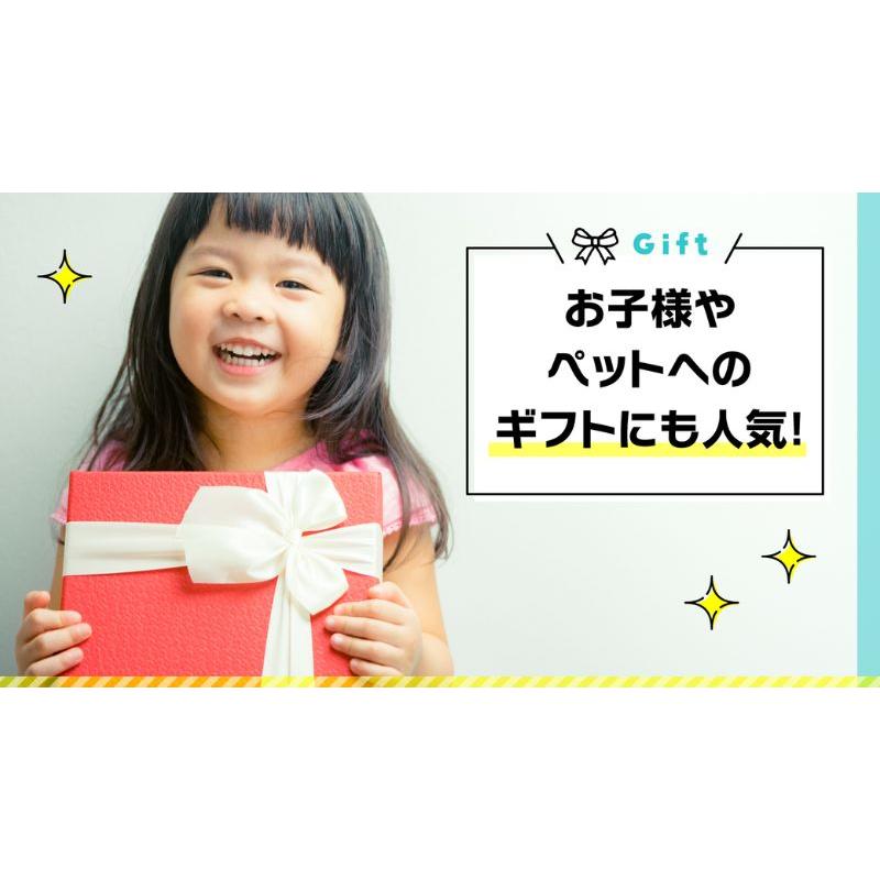 2セット/トランポリン クッション 家庭用 大人 子供 静音 おしゃれ シェイポリン キュッポリン ダイエット ファブリック カバー付 | プライムダイレクト | 17