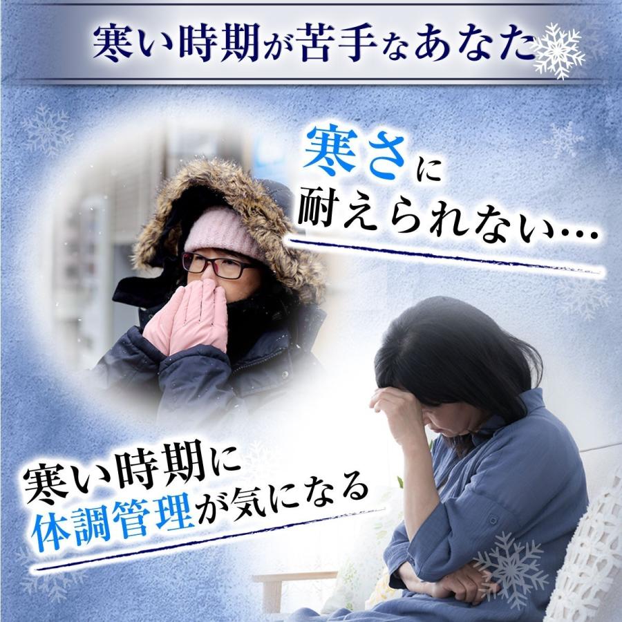 SPEEDHEAT（スピードヒート） 電熱ベスト 温熱ベスト 旧品仕様 男女