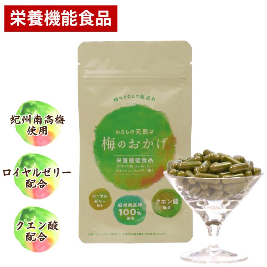 梅のおかげ 60粒入り / 梅エキス ムメフラール 栄養機能食品 カプセル