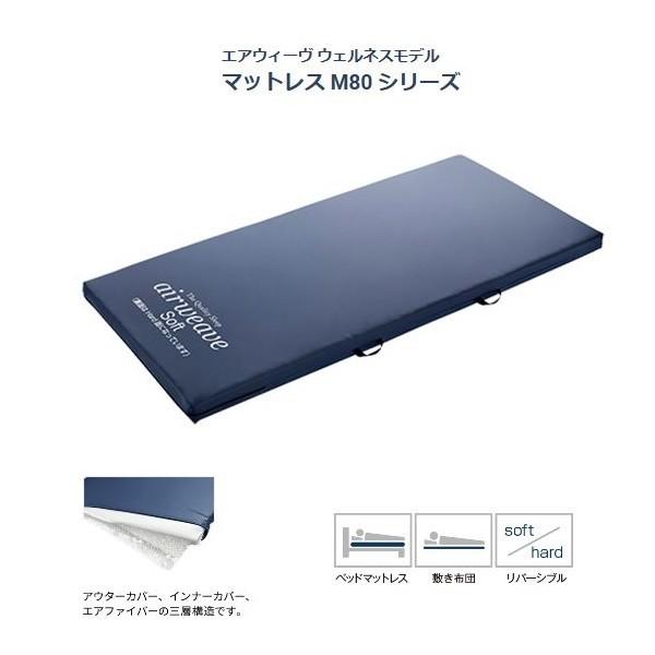 Minipoページ Mini AlphaMop™ / Isolator Cleaning Tool™ STERILE MicroDenier