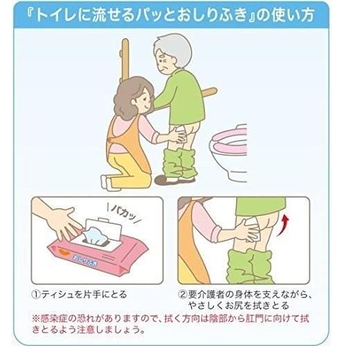 ハビナース おしりふき トイレに流せる パッとおしりふき 厚手 40枚入
