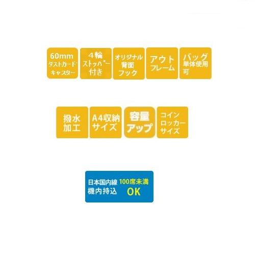 キャリーバッグ おしゃれ 機内持ち込み SWANY スワニー D-576 ユベーロIII M18 ブラック 4輪ストッパー付の画像