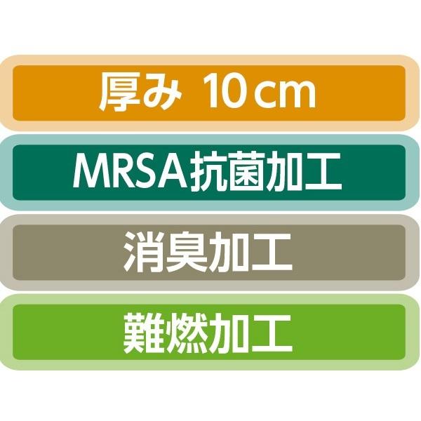 【新版】 マットレス エバーフィットC3 ドライタイプ パラマウントベッド 【1355836494】(48807円)