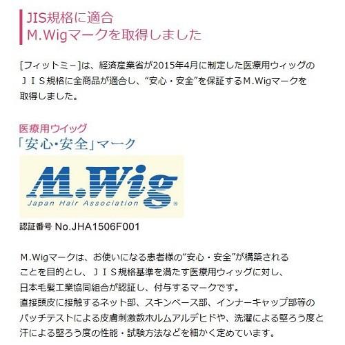 医療用ウィッグ メンズ フィットミー MW-300 ナチュラルショート