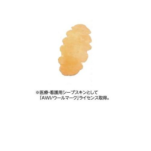 ナーシングラッグ 二匹物 ウィズ 褥瘡 床ずれ 予防 介護 : np-2p 