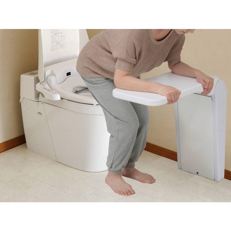 パナソニックエイジフリー FUNレストテーブルα 550 PN-L60002 【公式通販】