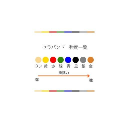 セラバンド 5.5m巻 赤 強度レベル 中弱 アビリティーズ・ケア