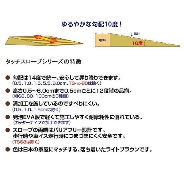 スロープ 段差解消 屋内用 タッチスロープ10 Ts10 80 45 シンエイテクノ 幅80cm 高さ4 5cm 勾配10度 出入り口 段差 介護用品 Ts10 80 45 プライムケア 通販 Yahoo ショッピング