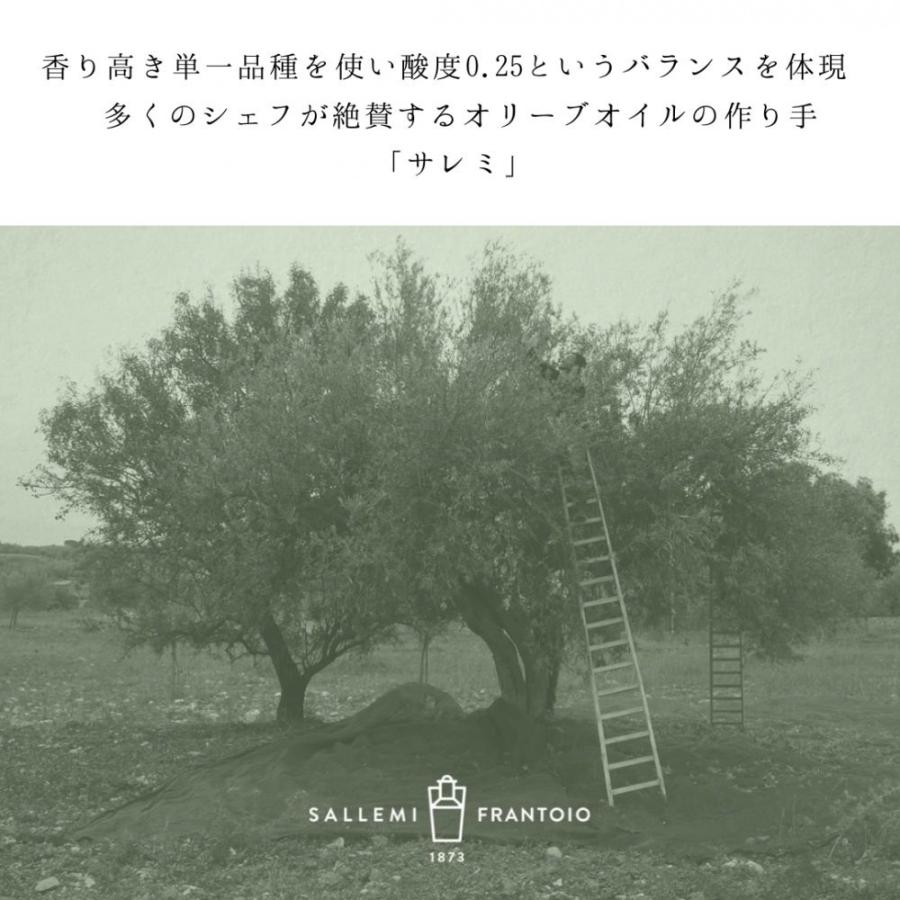 在庫僅少 オリーブオイル エキストラバージン サレミ Re イタリア産 高級 エクストラバージン サレミレ 500ml Whitesforracialequity Org