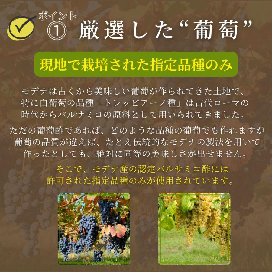 DOP 認定 バルサミコ 25年 熟成 エキストラヴェッキオ モンテベロ
