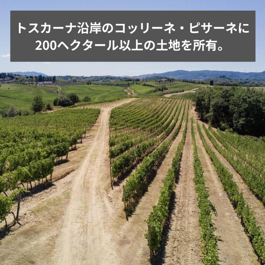 イタリアワイン] プレミオ キャンティ 赤ワイン トスカーナ産 750ml