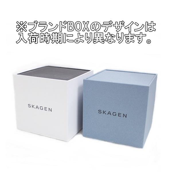 スカーゲン メンズ 腕時計 手表 彼氏 旦那 贈り物 誕生日 レザー 誕生日  爆買 成人 卒業 入学 | SKAGEN | 02