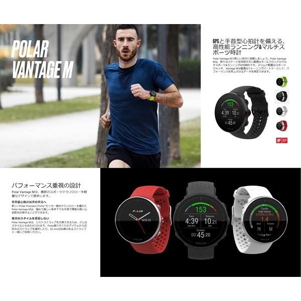 ポラール（POLAR） 選べる3カラー2サイズ 国内正規品 メンズ