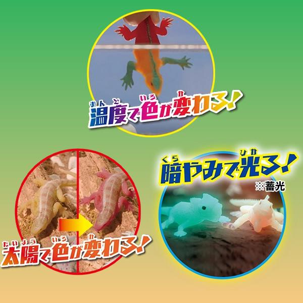 コンプリートセット】イグアナ＆co. ミニ 全22種類入り イグアナアンド