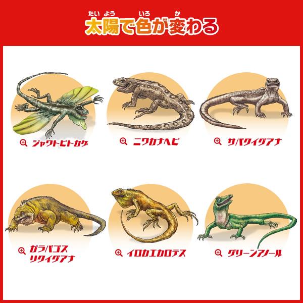 コンプリートセット】イグアナ＆co. ミニ 全22種類入り イグアナアンド