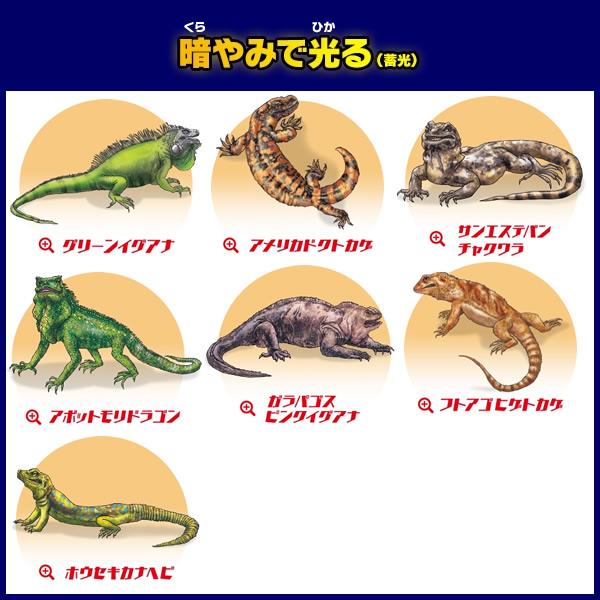 コンプリートセット】イグアナ＆co. ミニ 全22種類入り イグアナアンド