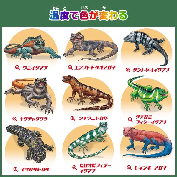 5袋セット】イグアナ＆co. ミニ mini トカゲ [フィギュア＋