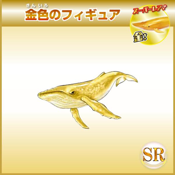 【5袋セット】くじらアタック＆Co.(アンドコ)[シロナガスクジラ/シャチ/ウバザメ/イッカク/エイ/マカジキ/ダイオウイカ/フィギュア/男の子] |  | 07