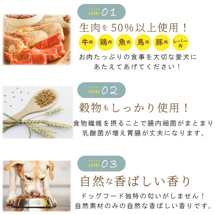 国産 ドッグフード プリモフード ベーシック 1kg 無添加 小型犬 成犬 シニア犬 幼犬 犬 愛犬 ペットフード 低アレルゲン ドッグフード ドライフード |  | 10