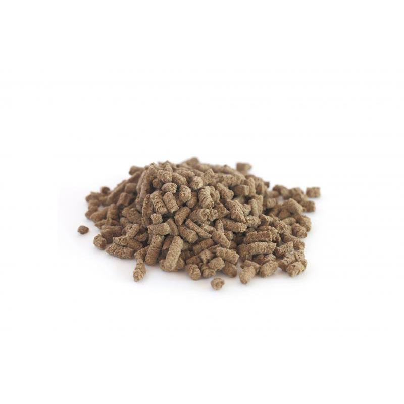 国産 ドッグフード プリモフード ベーシック 1kg 無添加 小型犬 成犬 シニア犬 幼犬 犬 愛犬 ペットフード 低アレルゲン ドッグフード ドライフード |  | 01