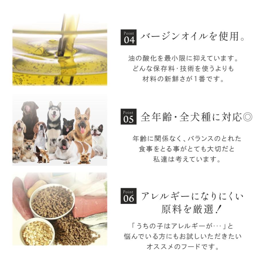 2種セット 国産ドッグフード ベーシック ダイエット・シニア 6kg(3kg×2)  無添加 幼犬 成犬 シニア犬 幼犬 犬 ペットフード ドライフード |  | 05