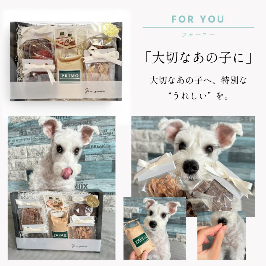 ギフトセット TSUNAGU 犬 プレゼント 誕生日 お祝い 選べるメッセージ