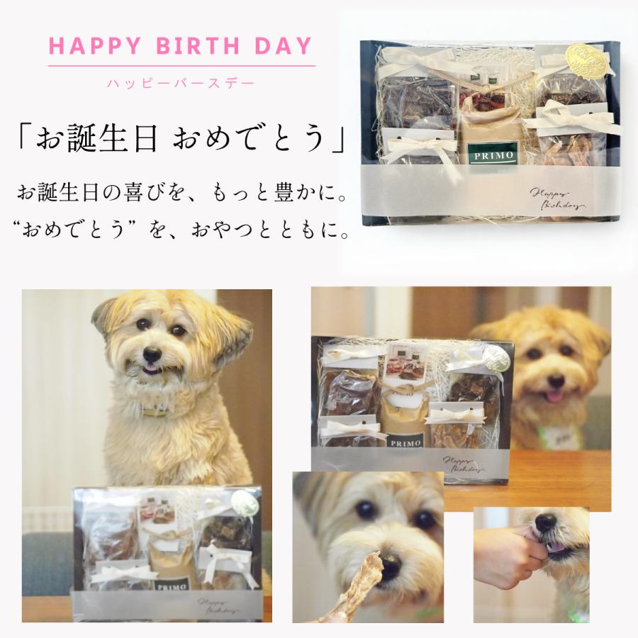 ギフトセット TSUNAGU 犬 プレゼント 誕生日 お祝い 選べるメッセージ