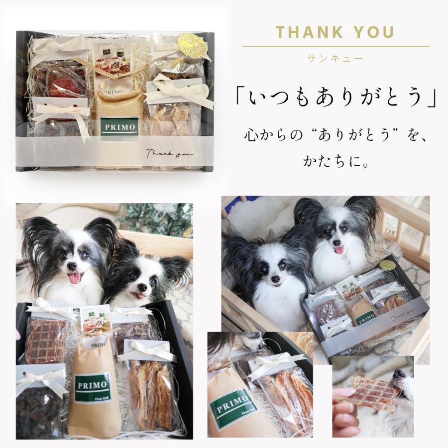 ギフトセット TSUNAGU 犬 プレゼント 誕生日 お祝い 選べるメッセージ