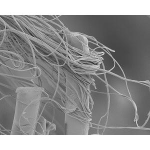 布製生理ナプキン ズレない 漏れない 蒸れない 臭わない 100cc吸収 とショーツセット Mサイズ Prykmp42 Primulamodestashop 通販 Yahoo ショッピング