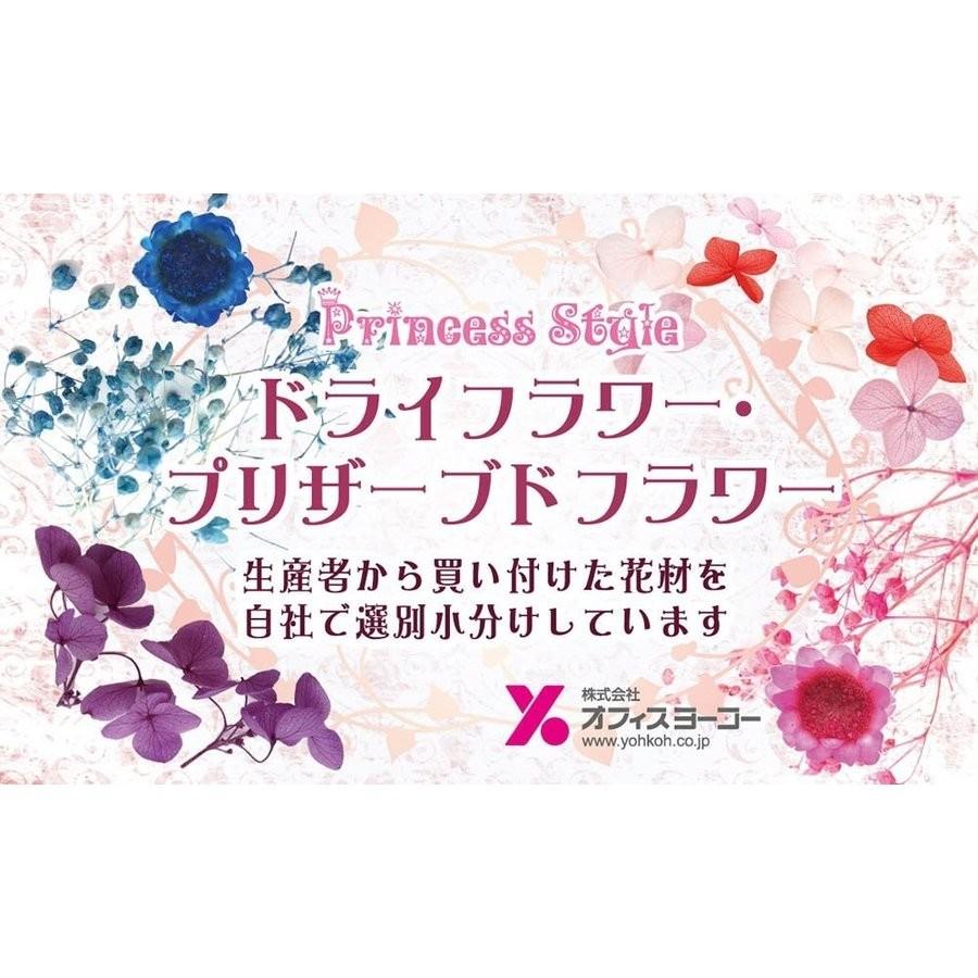 あじさい かすみ草 小分け プリザーブドフラワー ドライフラワー ハーバリウム 花材 セット｜princess-factory｜10