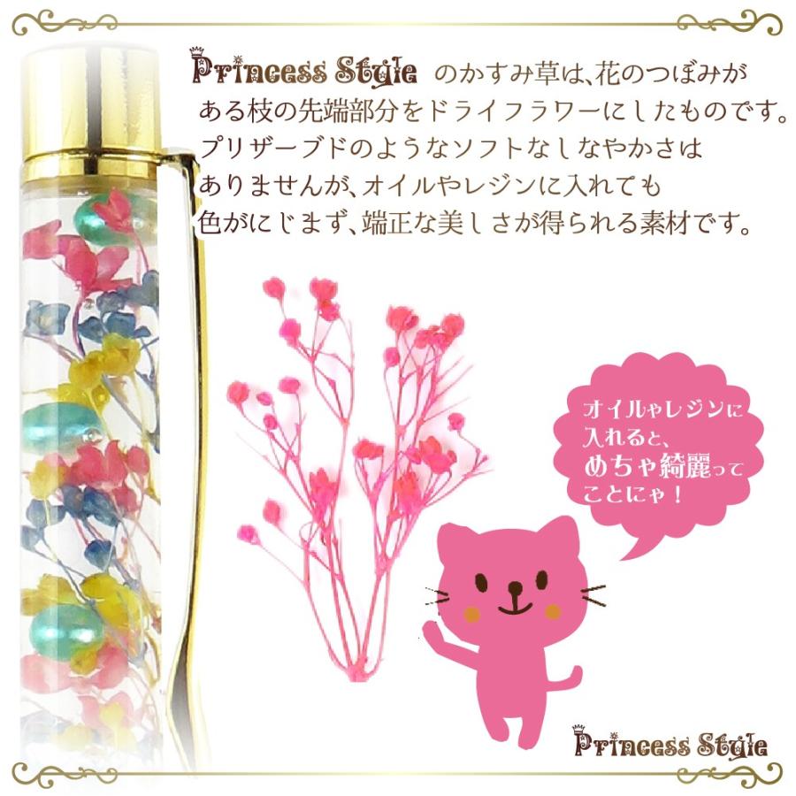 かすみ草 ドライフラワー 小分け ハーバリウム 花材 ブルー レッド パープル等 濃い色 6色 セット Yk 061 2 Princess Style ヤフー店 通販 Yahoo ショッピング