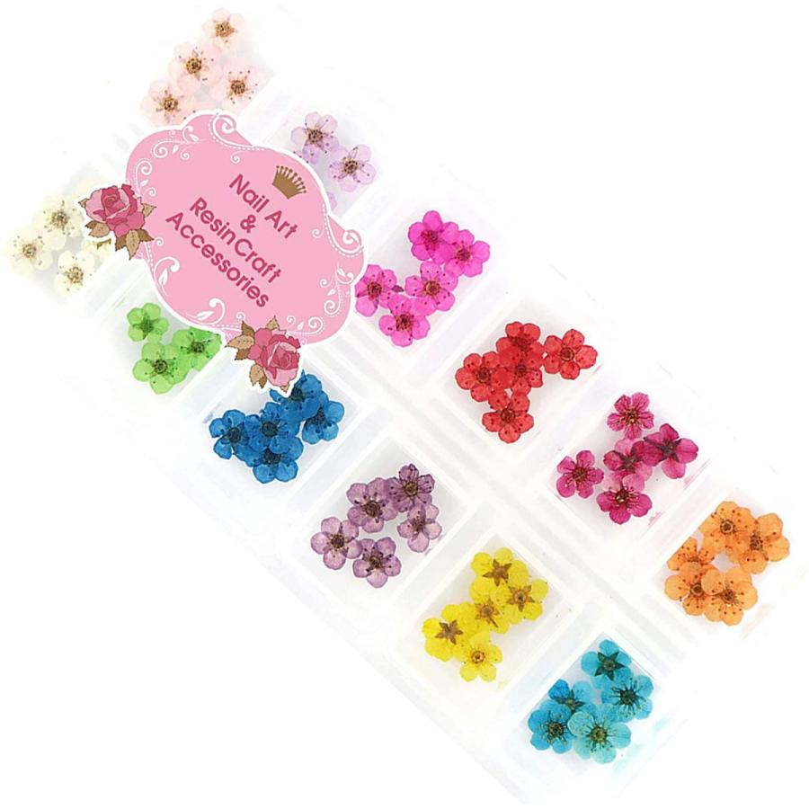 ドライフラワー 上質 押し花 こでまり 60枚 ネイル パーツ レジン 封入 新ケース入 12色 各5枚 Yk 139 1 Princess Style ヤフー店 通販 Yahoo ショッピング