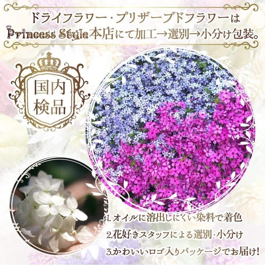 ドライフラワー 上質 押し花 こでまり 60枚 ネイル パーツ レジン 封入 新ケース入 12色 各5枚 Yk 139 1 Princess Style ヤフー店 通販 Yahoo ショッピング
