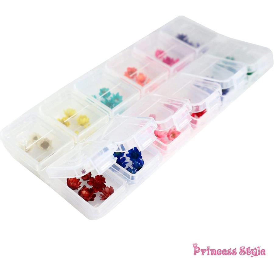 スターフラワー ドライフラワー 12マスケース入り 全品送料無料 12色 各５個セット