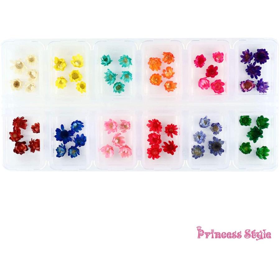 スターフラワー ドライフラワー 12マスケース入り 全品送料無料 12色 各５個セット