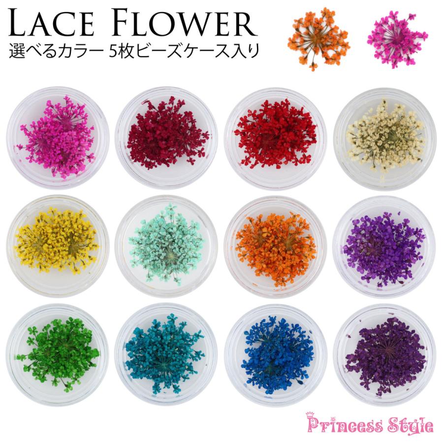 ドライフラワー レースフラワー 押し花 素材 パーツ レジン 材料 花材