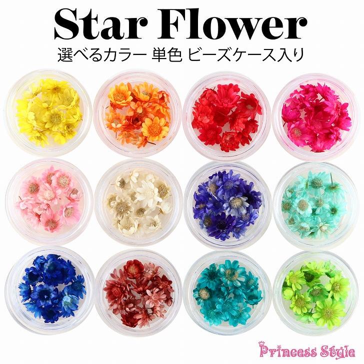 スターフラワー ミニ ドライフラワー レジン ハーバリウムボールペン