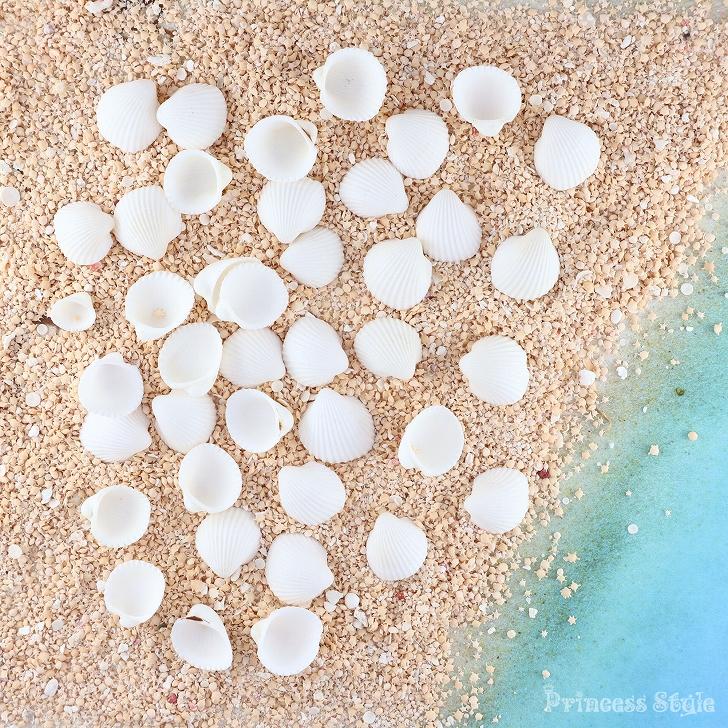 確認用 専用ページ  貝殻 シェルパーツ ハンドメイド マリン 確認用 専用ページ 貝殻 シェルパーツ ハンドメイド マリン